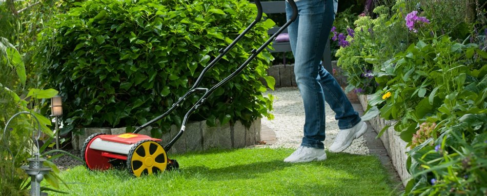 kelaruohonleikkuri_wolf-garten_tt_380_dl_tyonnettava_38_cm_kaytossa